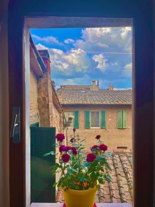 Suite19 Siena Centro Storico エクステリア 写真